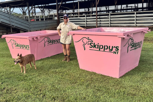 3 Cubic Meter Skip Bin