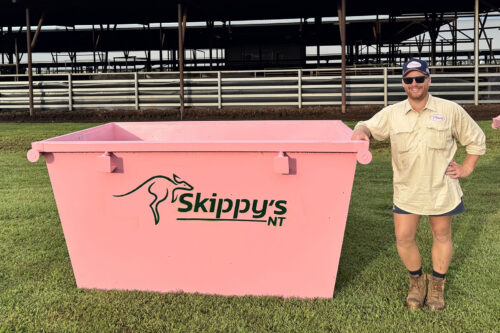 4 Cubic Meter Skip Bin